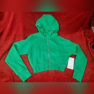 Cropped Scuba Full Zip